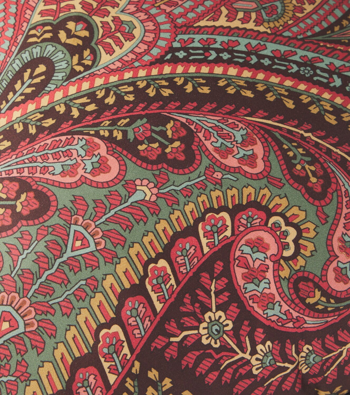 Etro Paisley cotton cushion