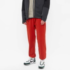 Nike Men's ACG Wolf Tree Pant in Cinnabar/Off Noir/Thunder Blue