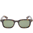 Moscot Klutz Sunglasses in Tortoise/Green