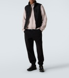 Stone Island Compass cotton chinos