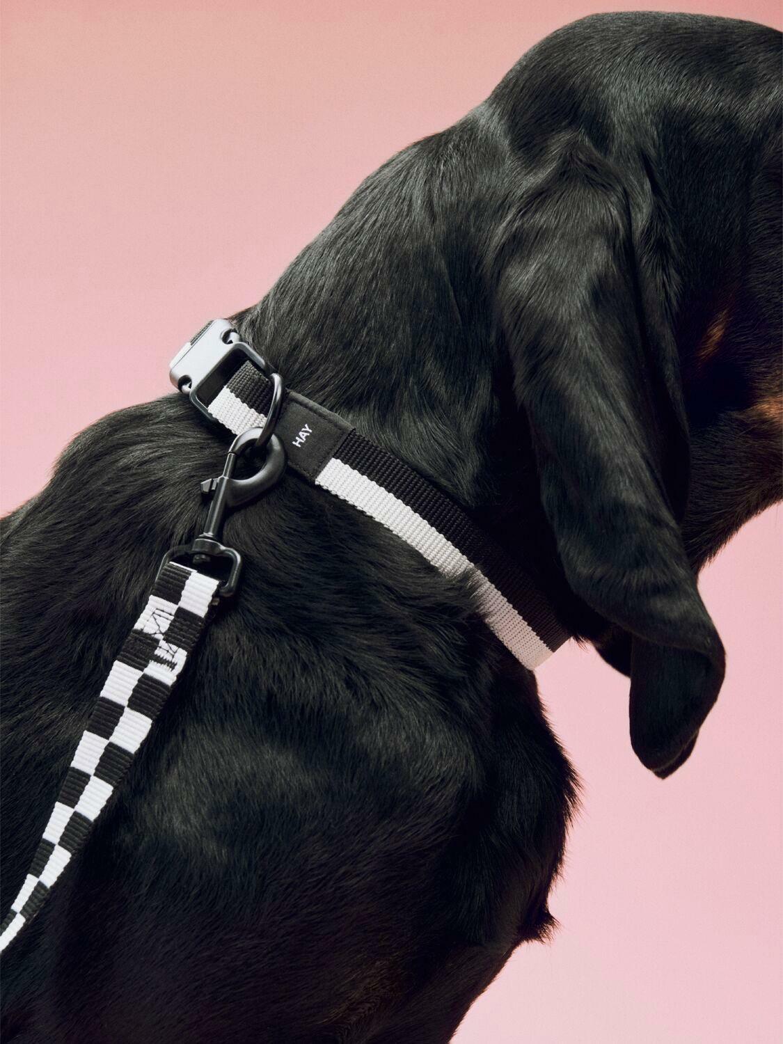 HAY Flat Check M/l Dog Leash