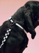 HAY Flat Check M/l Dog Leash