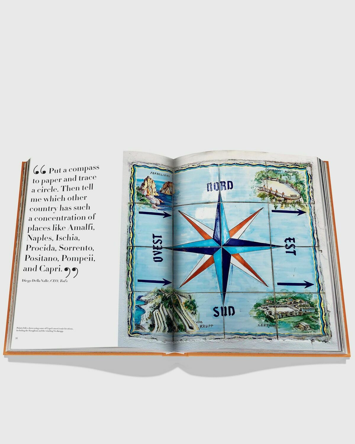 Assouline "Capri Dolce" Vita By Cesare Cunaccia Multi Travel