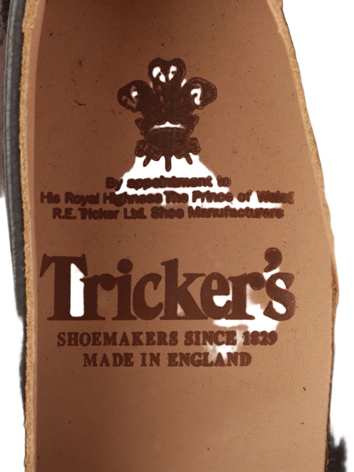 Tricker's Elton Coffee Castorino