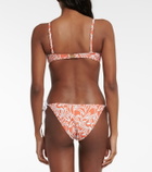 Heidi Klein Coral Gardens bandeau bikini top