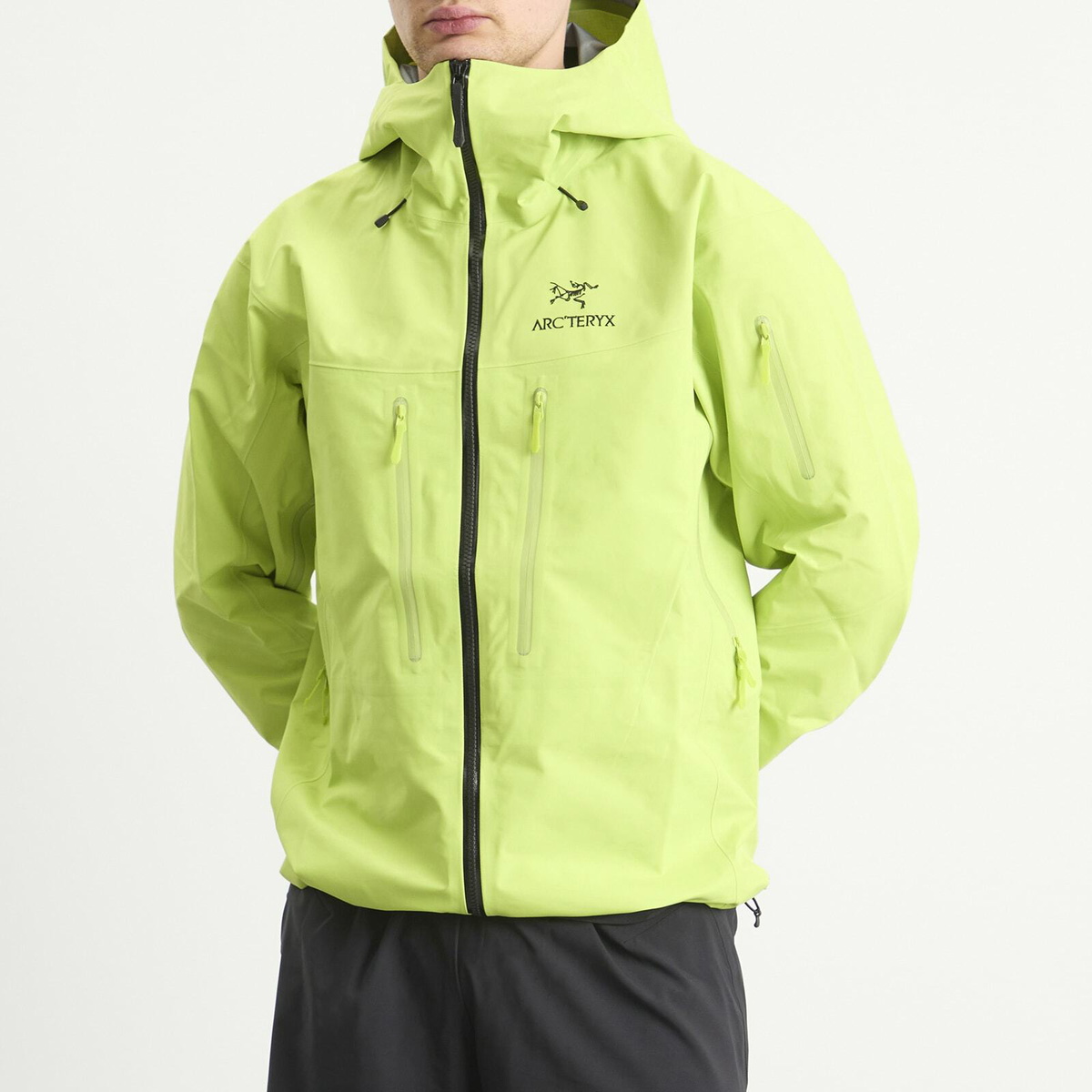 Arc'teryx Men's Alpha SV Gore-Tex Jacket in Mantis/Black