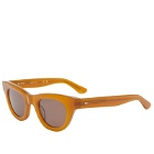 Ace & Tate Oshin Sunglasses in Cinnamon 