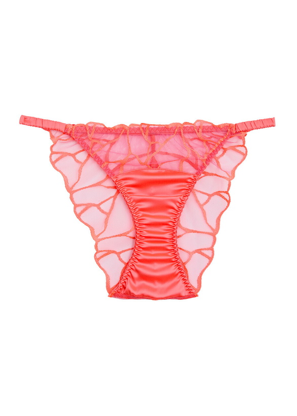 Photo: Fleur OF England Cleo Embroidered Tulle Briefs Bright Pink
