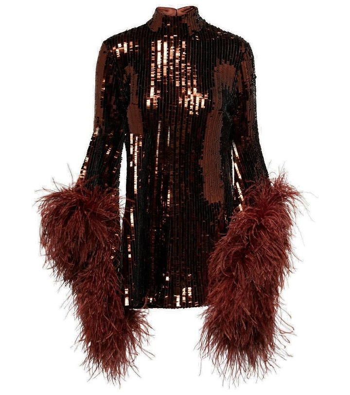 Photo: Taller Marmo Del Rio feather-trimmed sequined minidress