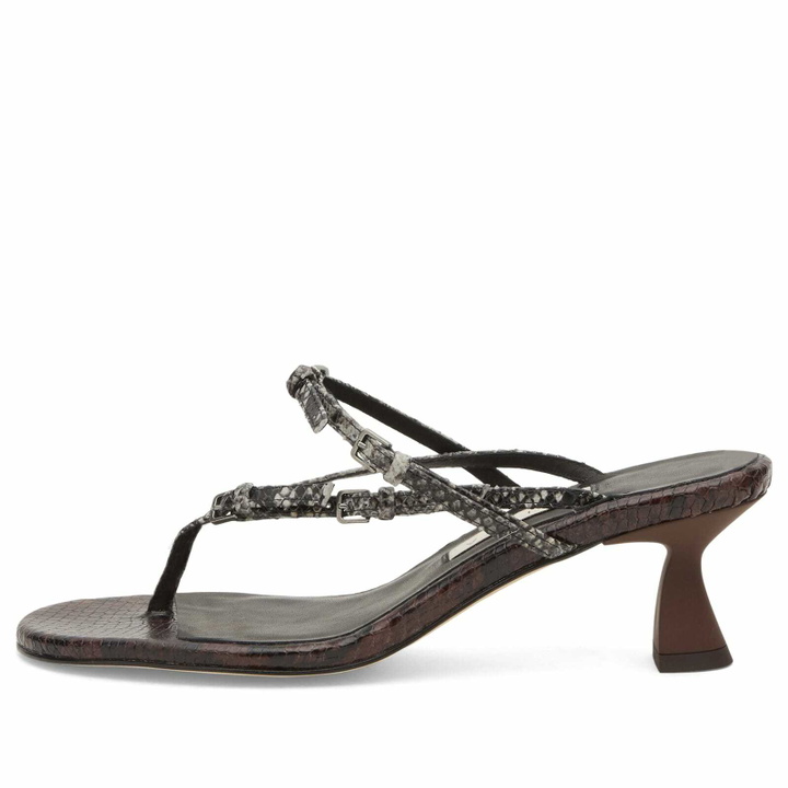 Photo: MIISTA Women's Abisai Mini Buckled Sandals in Brown