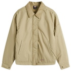 Dickies Women's Plains Jacket in Imperial Green