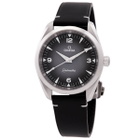 Omega Seamaster Railmaster Automatic Chronometer Grey Dial Watch 235.12.38.20.06.001