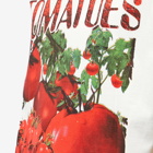Story mfg. Men's Lover T-Shirt in Tomato