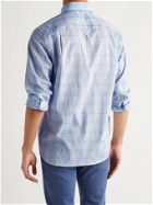 PETER MILLAR - Sunrise Button-Down Collar Checked Cotton Shirt - Multi