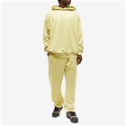 Adidas Basketball Sweat Pant in Halo Gold