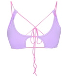 Reina Olga Theresa bikini top