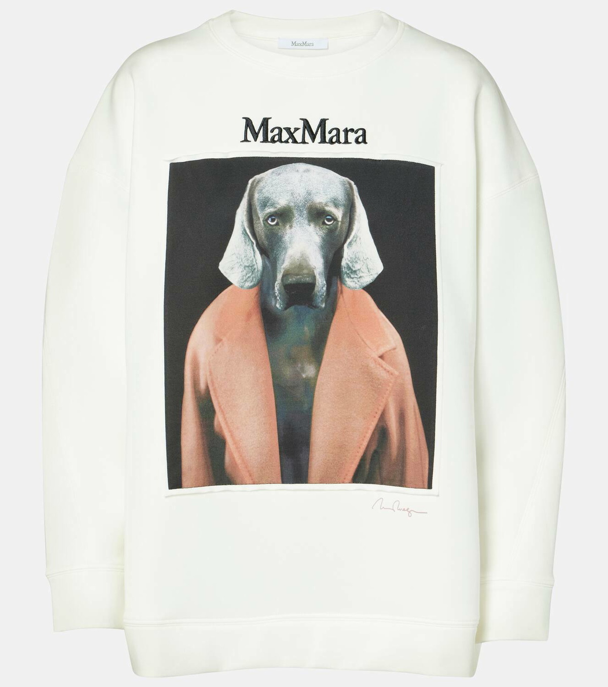 Max Mara Bacco printed cotton-blend sweatshirt
