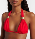 Heidi Klein Petalia bikini top