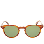 Garrett Leight Men's Clement 46 Sunglasses in Matt Honey Amber/Pure Green