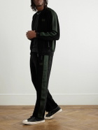 Needles - Straight-Leg Webbing-Trimmed Logo-Embroidered Cotton-Blend Velour Track Pants - Black