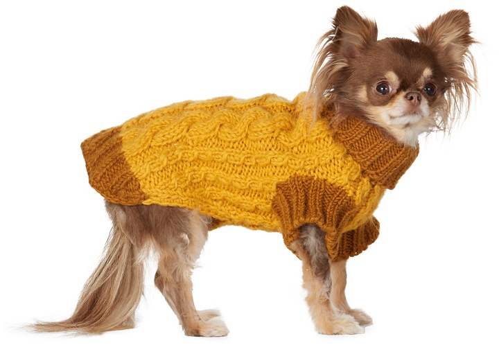 Photo: LISH Yellow Small Wilmot Sweater