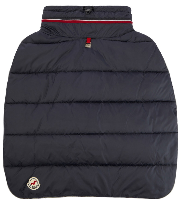 Photo: Moncler Moncler Poldo Dog Couture dog coat
