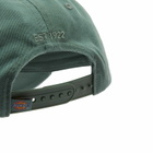 Dickies Women's Hardwick Cap in Dark Forest 