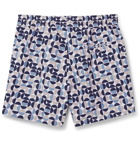 Frescobol Carioca - Shade Mid-Length Printed Swim Shorts - Blue
