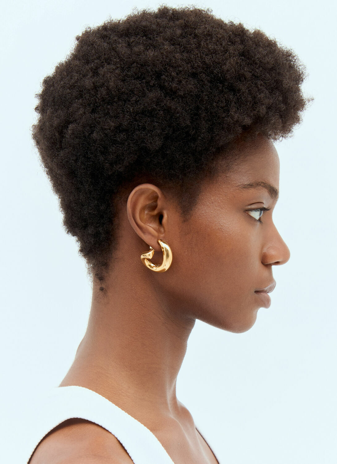 Bottega Veneta Sardine Earrings