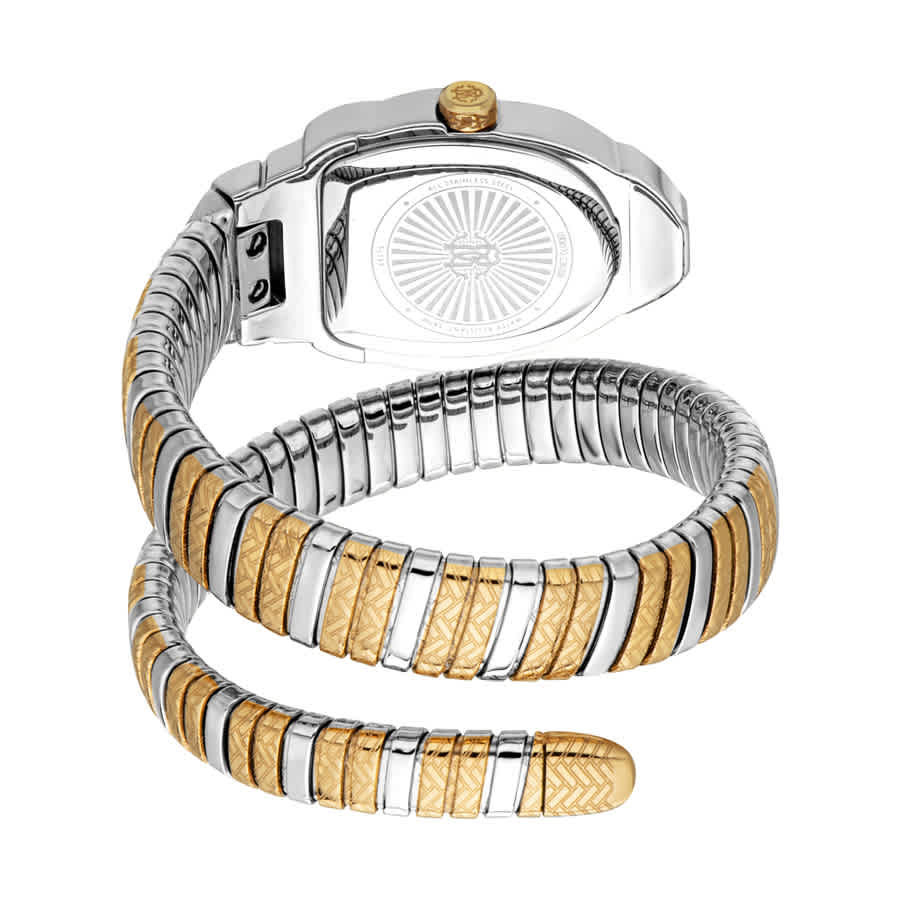 Roberto Cavalli Aurora Silver-tone Dial Ladies Watch RC5L133M0065