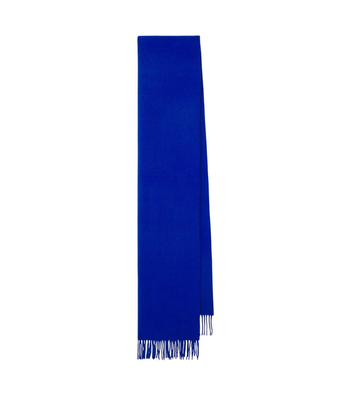 Photo: The Frankie Shop Allyson fringed virgin wool scarf