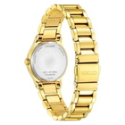 Citizen Axiom Eco-Drive Black Dial Ladies Watch EM0737-58E