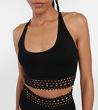 Alaïa Vienne bralette