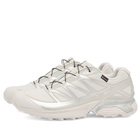 Salomon XT-PATHWAY GTX Sneaker in Lunar Rock/Alloy