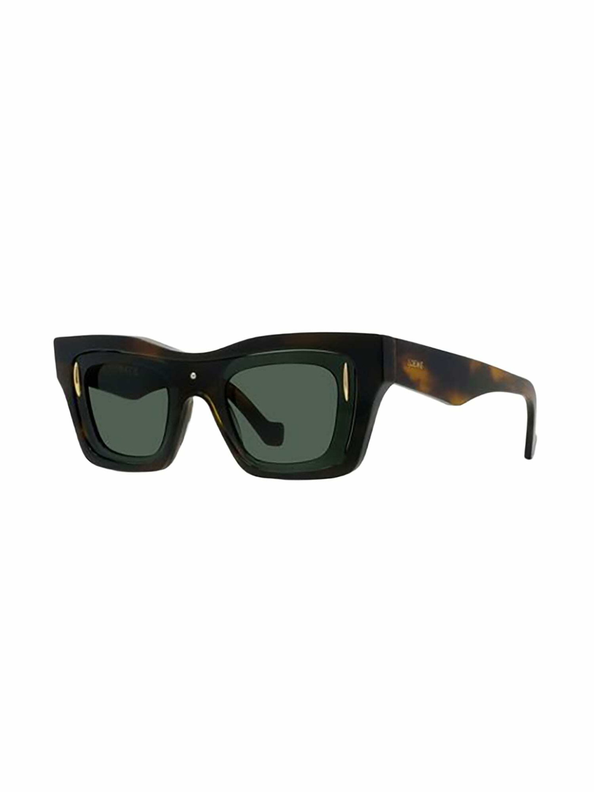 Loewe LW40169I Sunglasses
