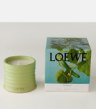Loewe Home Scents Cucumber Small scented candle