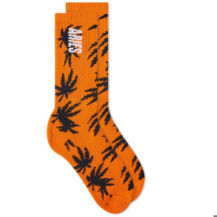 Photo: Aries Men's Weed Socks in Orange