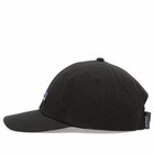 Patagonia P-6 Label Trad Cap in Black 