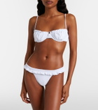 Faithfull Esterel ruffled bikini bottoms