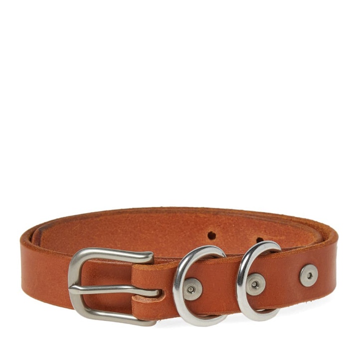 Photo: Tanner Goods Canine Collar
