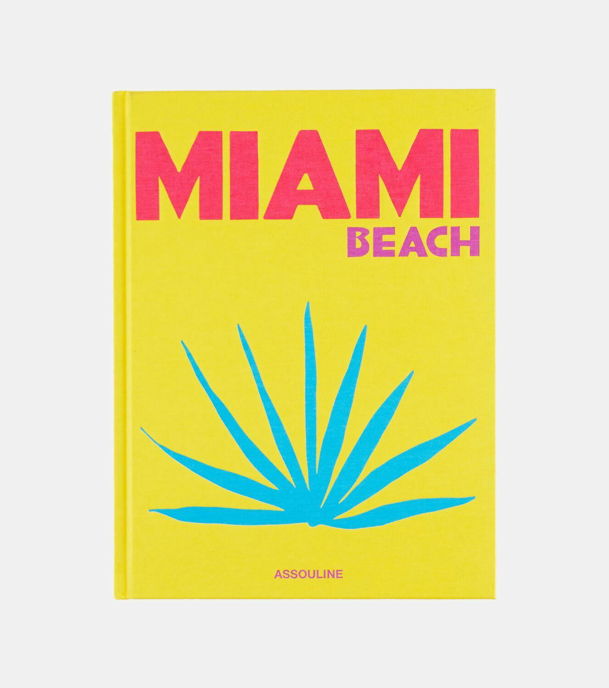Assouline Miami Beach book