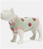 Gucci - Strawberry wool dog sweater