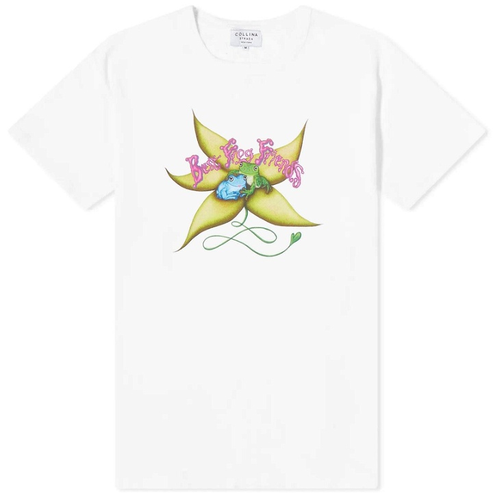 Photo: Collina Strada Women's Graphic T-Shirt in Best Frog Friends