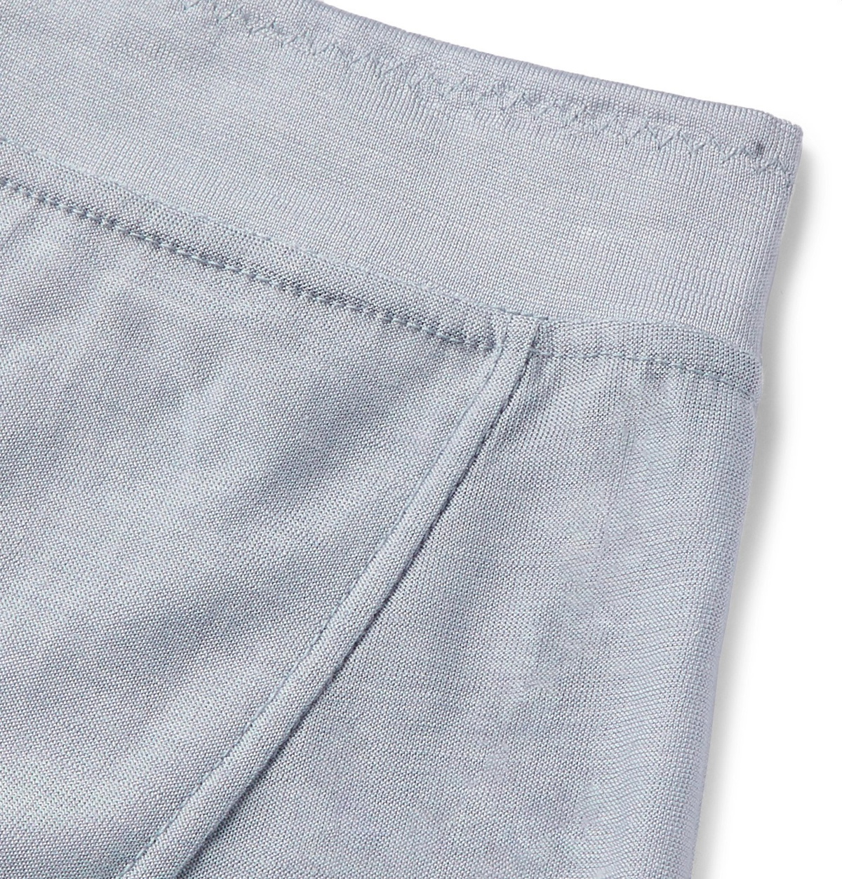 Secondskin - Silk-Jersey Boxer Briefs - Gray