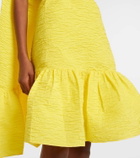 Roksanda Elia caped ruffled cloque minidress