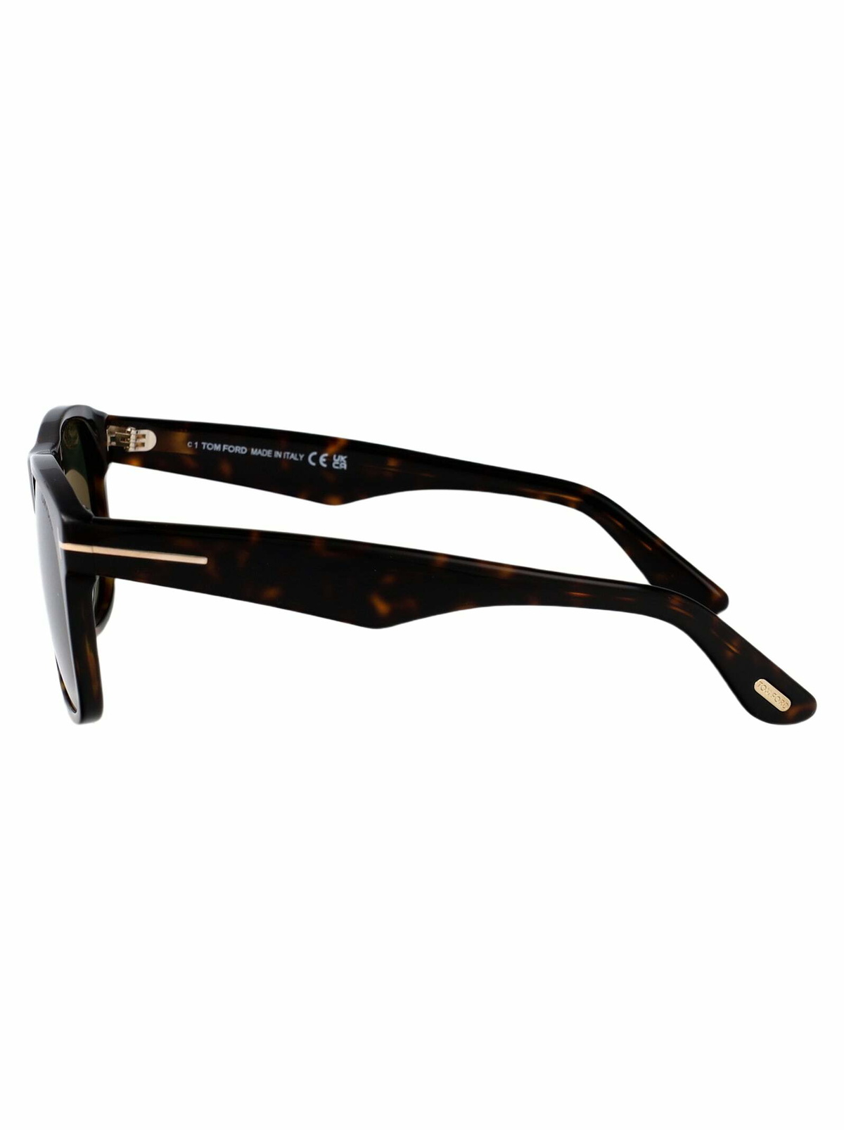 Tom Ford Eyewear Marlon-02 Sunglasses