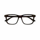 Bottega Veneta Eyewear Bv1316o-002 Havana-havana-transparent