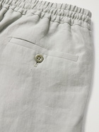 RUBINACCI - Pleated Cotton-Twill Trousers - Gray