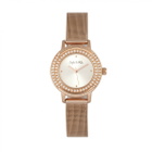 Sophie And Freda Cambridge Crystal Silver Dial Ladies Watch SF4102