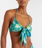 Chloé Bow-detail floral bikini top